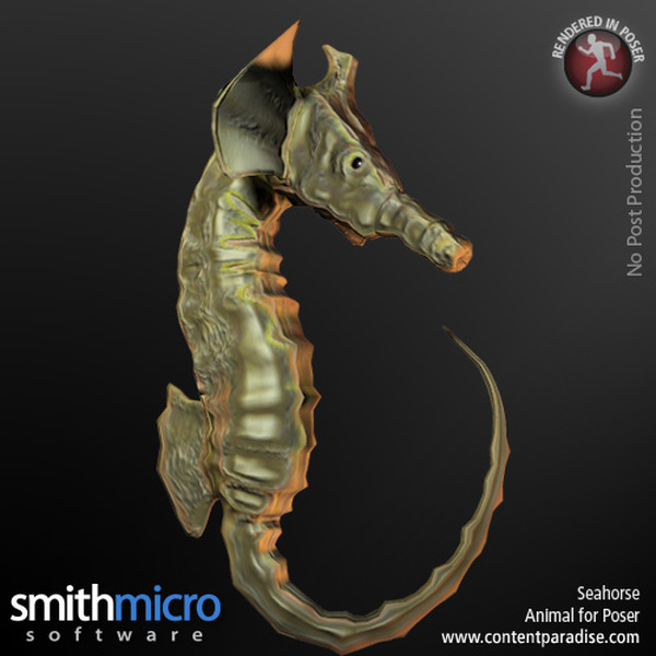 Seahorse by N/A