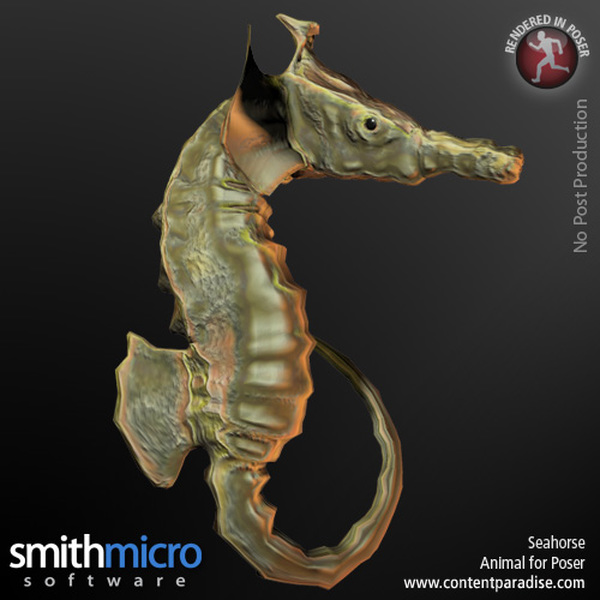 Seahorse by N/A