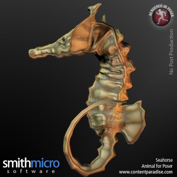 Seahorse by N/A