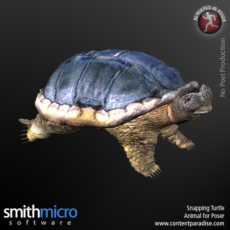 Snapping Turtle by N/A