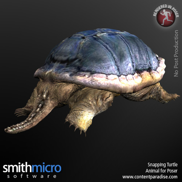 Snapping Turtle by N/A
