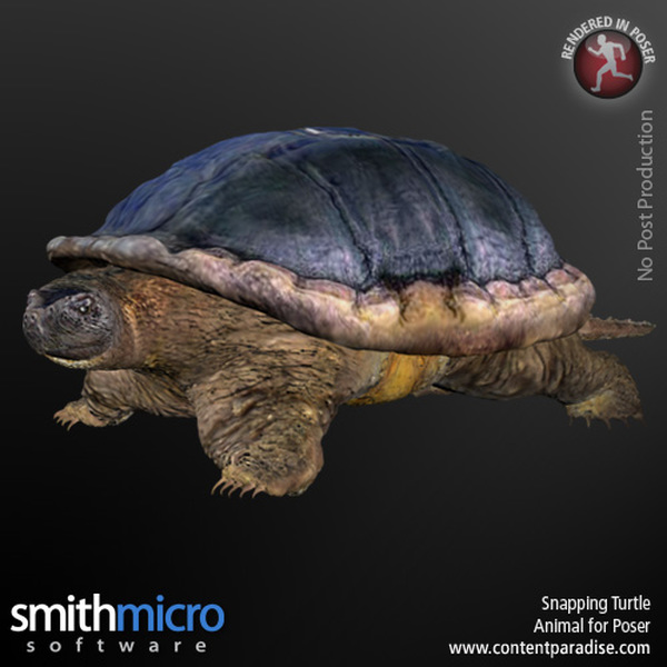 Snapping Turtle by N/A