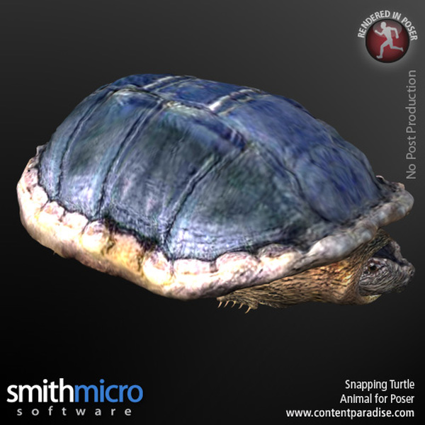 Snapping Turtle by N/A
