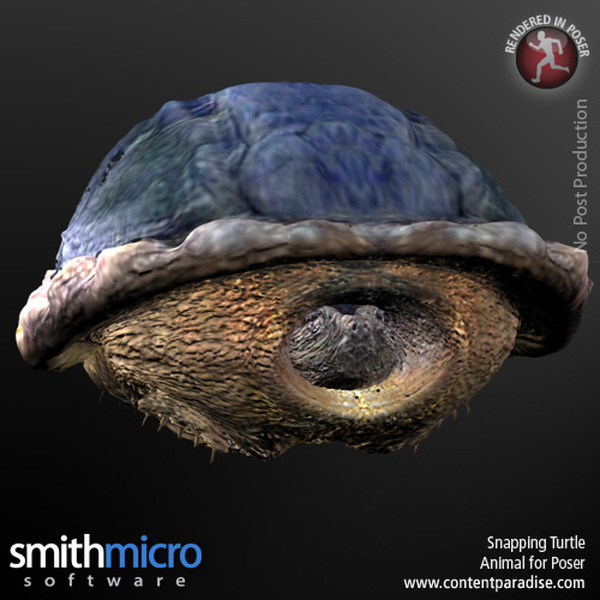 Snapping Turtle by N/A