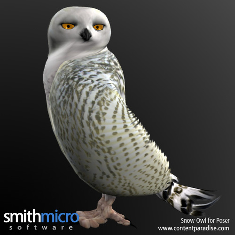 Snow Owl by N/A