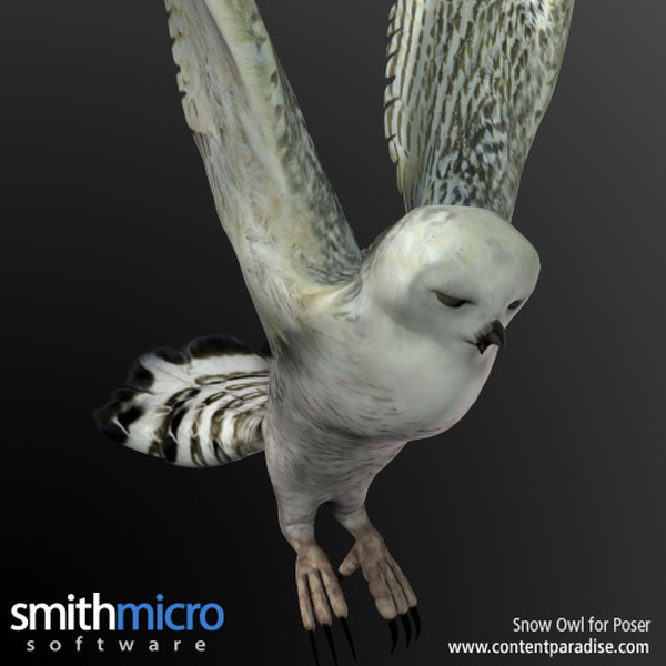Snow Owl by N/A
