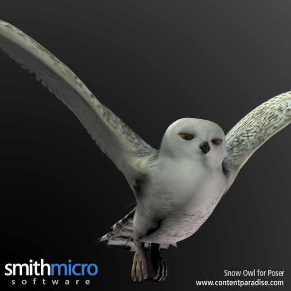 Snow Owl by N/A