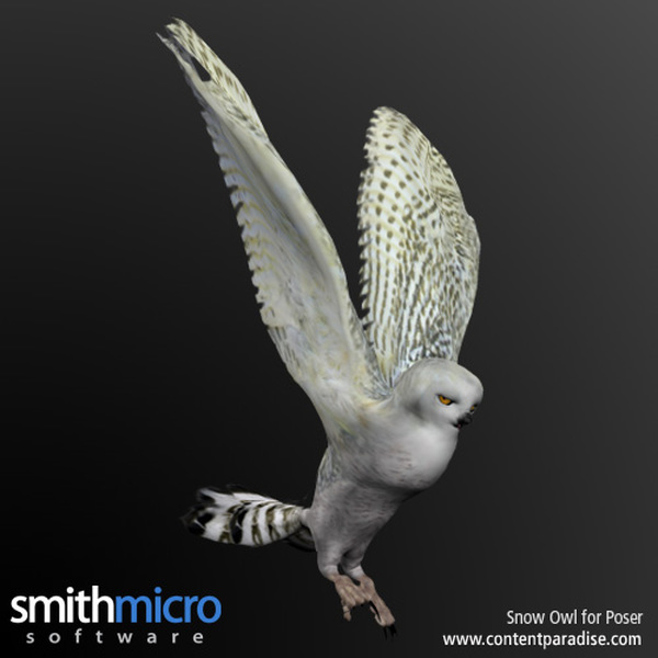 Snow Owl by N/A