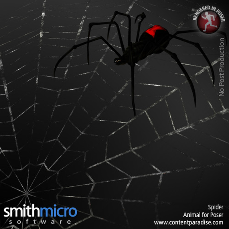 Black Widow Spider by N/A
