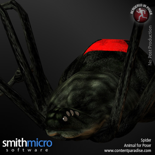 Black Widow Spider by N/A