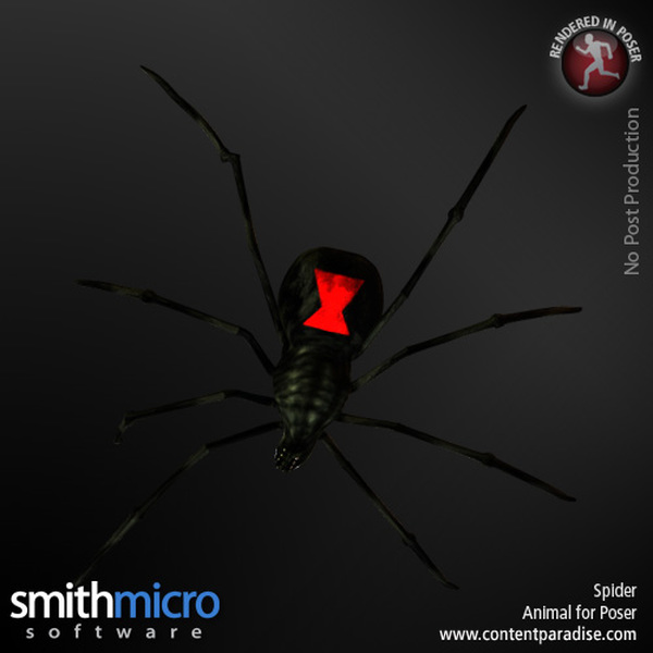 Black Widow Spider by N/A