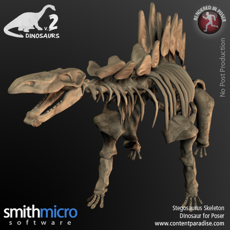 Stegosaurus Skeleton by N/A