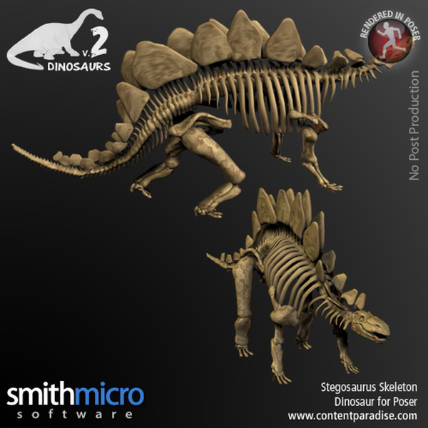 Stegosaurus Skeleton by N/A
