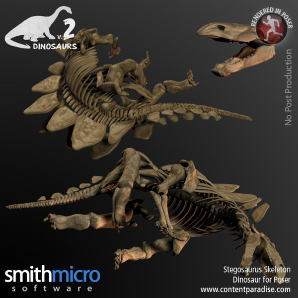Stegosaurus Skeleton by N/A