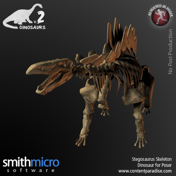 Stegosaurus Skeleton by N/A