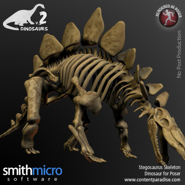 Stegosaurus Skeleton by N/A