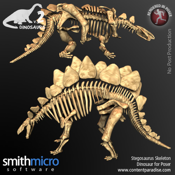 Stegosaurus Skeleton by N/A