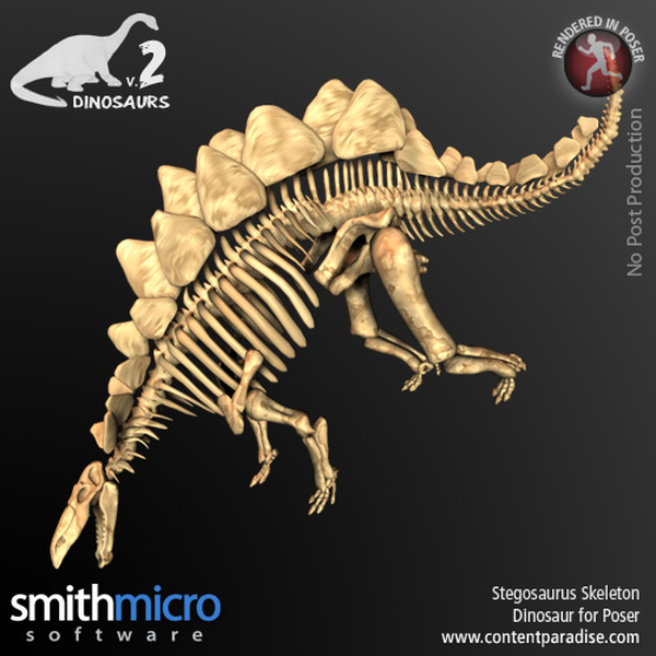 Stegosaurus Skeleton by N/A