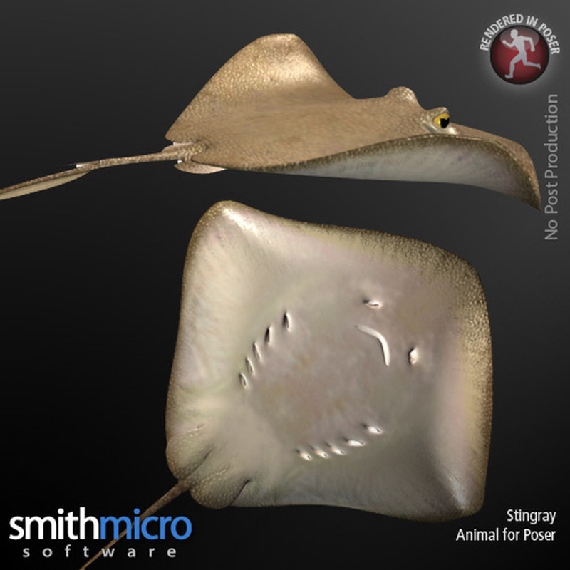 Stingray by N/A