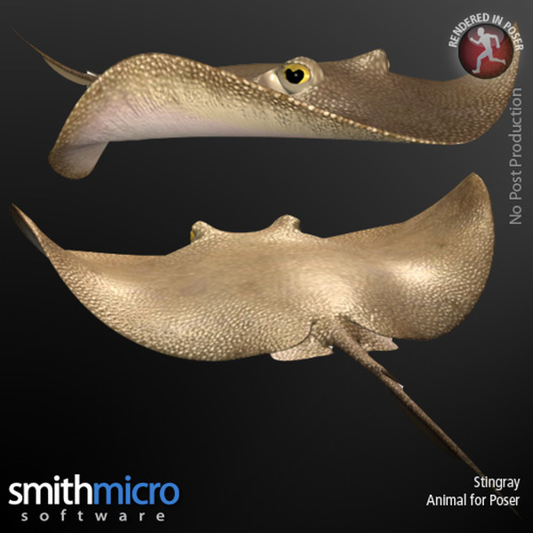 Stingray by N/A