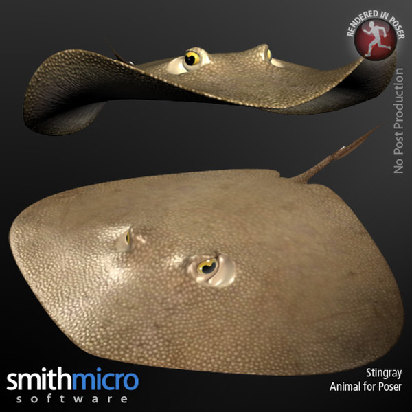Stingray by N/A