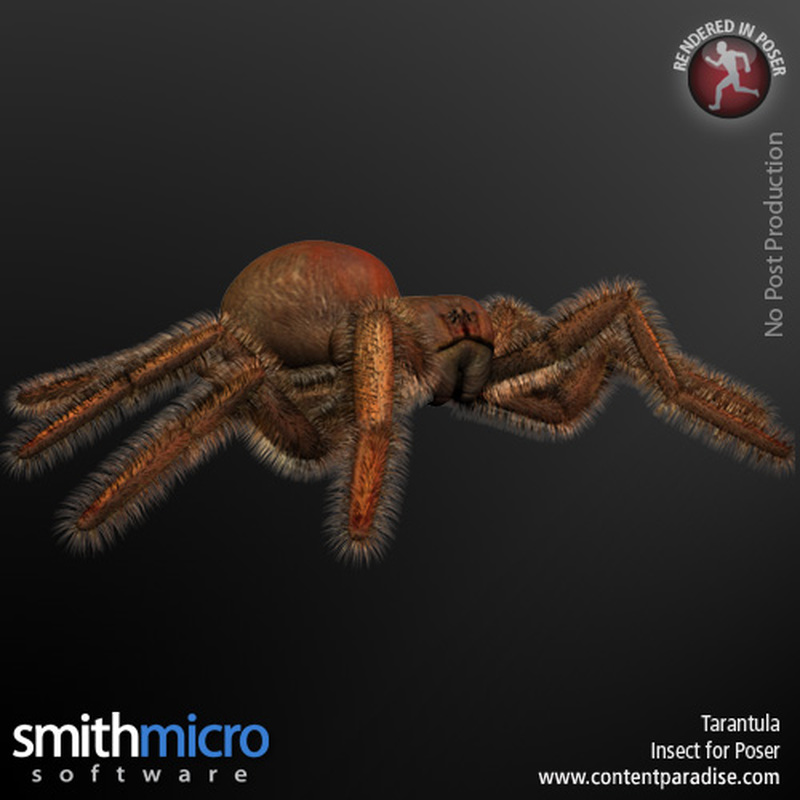 Tarantula by N/A