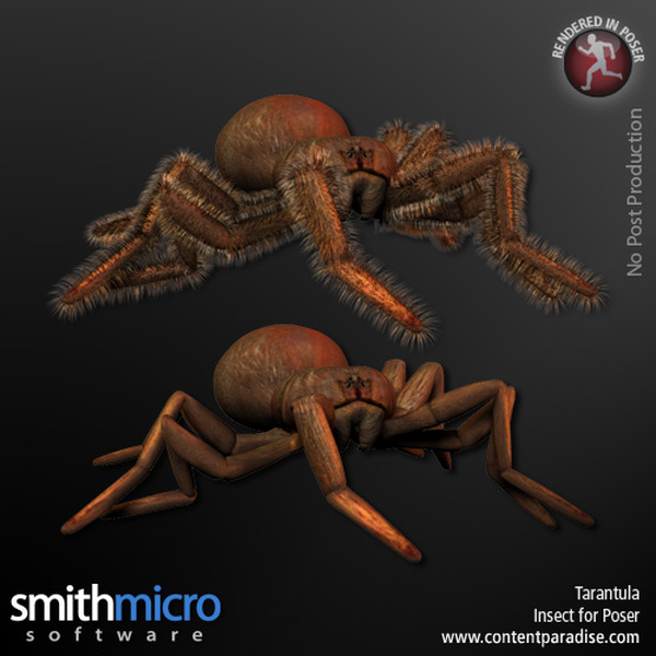 Tarantula by N/A