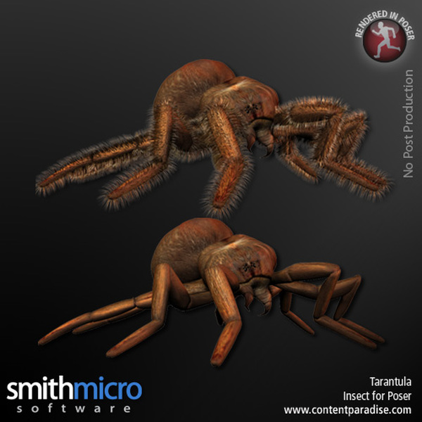 Tarantula by N/A