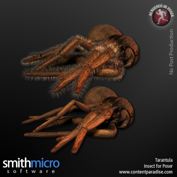 Tarantula by N/A