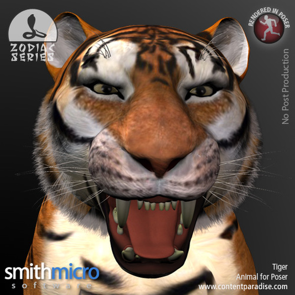 Tiger (Chinese Zodiac Series) by N/A