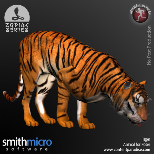 Tiger (Chinese Zodiac Series) by N/A