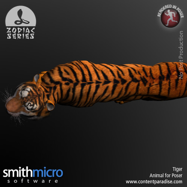 Tiger (Chinese Zodiac Series) by N/A