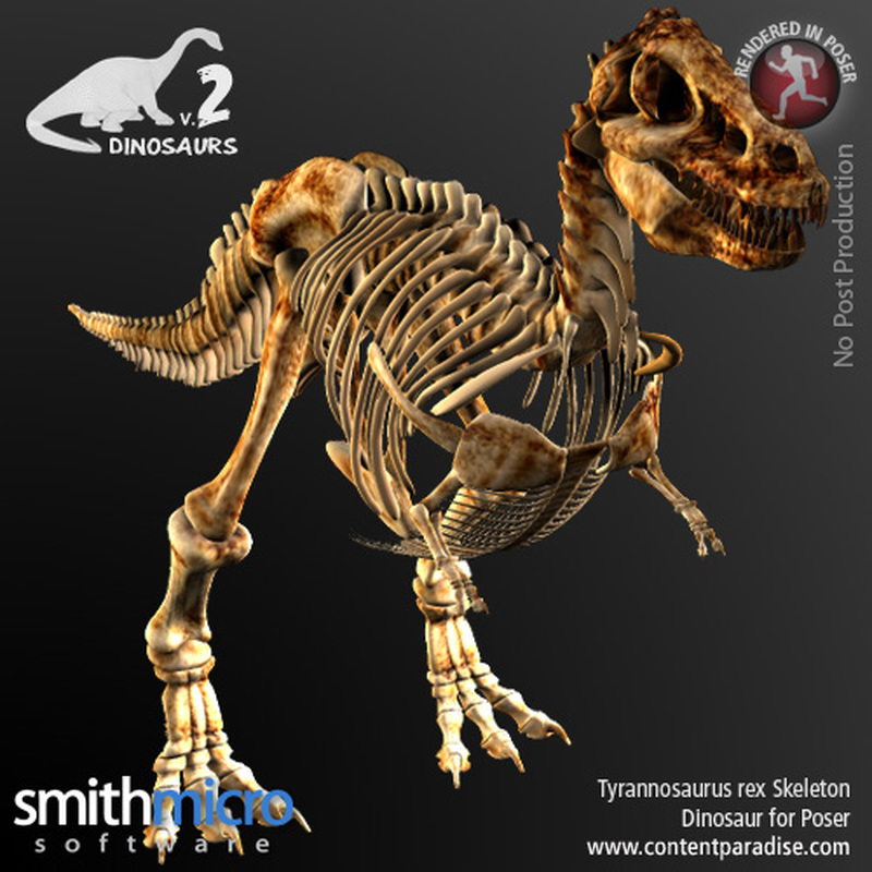 Tyrannosaurus Rex Skeleton by N/A