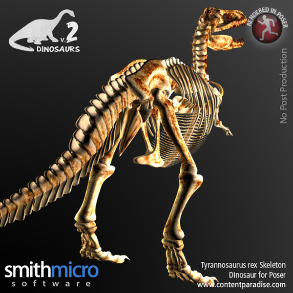 Tyrannosaurus Rex Skeleton by N/A