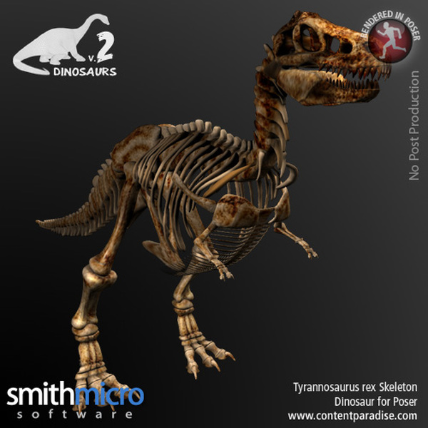 Tyrannosaurus Rex Skeleton by N/A