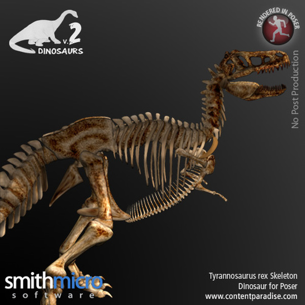 Tyrannosaurus Rex Skeleton by N/A