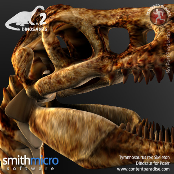 Tyrannosaurus Rex Skeleton by N/A