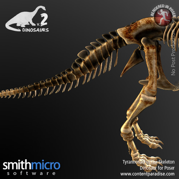 Tyrannosaurus Rex Skeleton by N/A