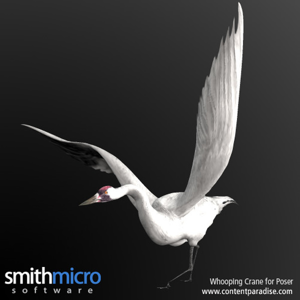 Whooping Crane by N/A