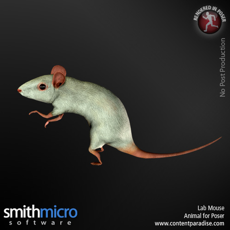 Lab Mouse by N/A