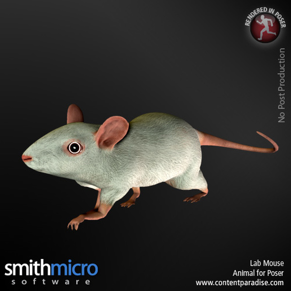 Lab Mouse by N/A