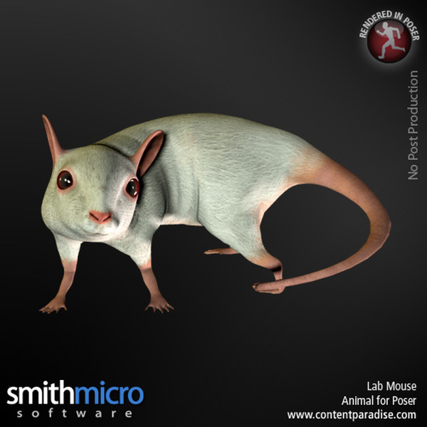 Lab Mouse by N/A