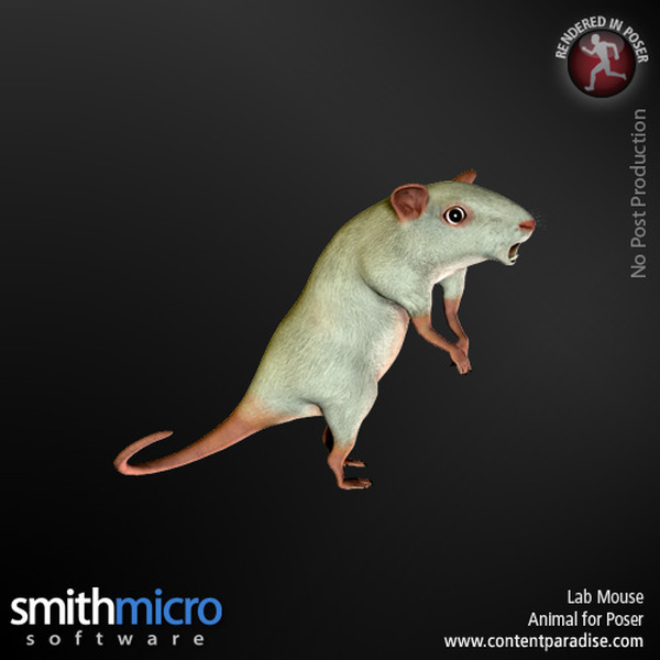 Lab Mouse by N/A