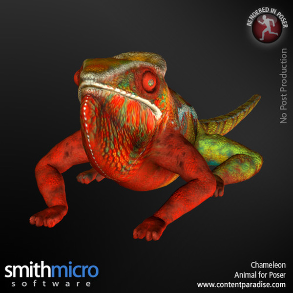 Panther Chameleon by N/A