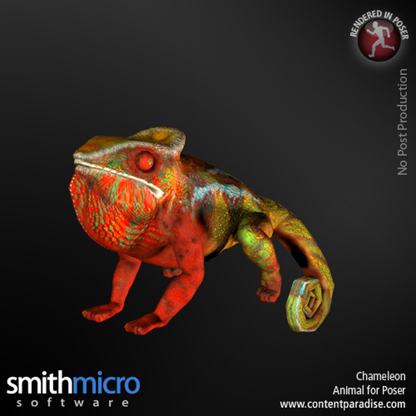 Panther Chameleon by N/A