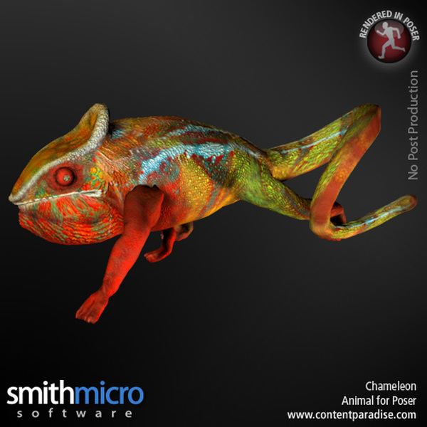 Panther Chameleon by N/A