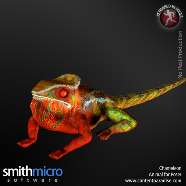 Panther Chameleon by N/A