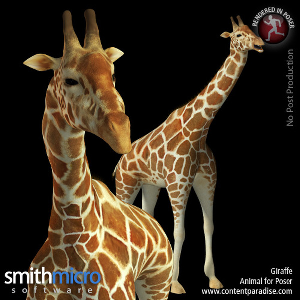 Wild World of Animals Bundle by N/A