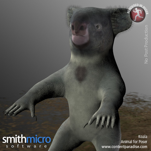 Wild World of Animals Bundle by N/A