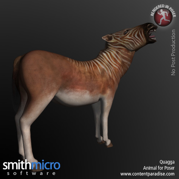 Wild World of Animals Bundle by N/A